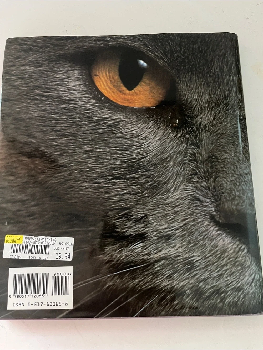 Cat Watching by D. Morris and pewter look cat shaped picture frame.